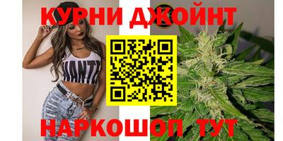 индика Братск