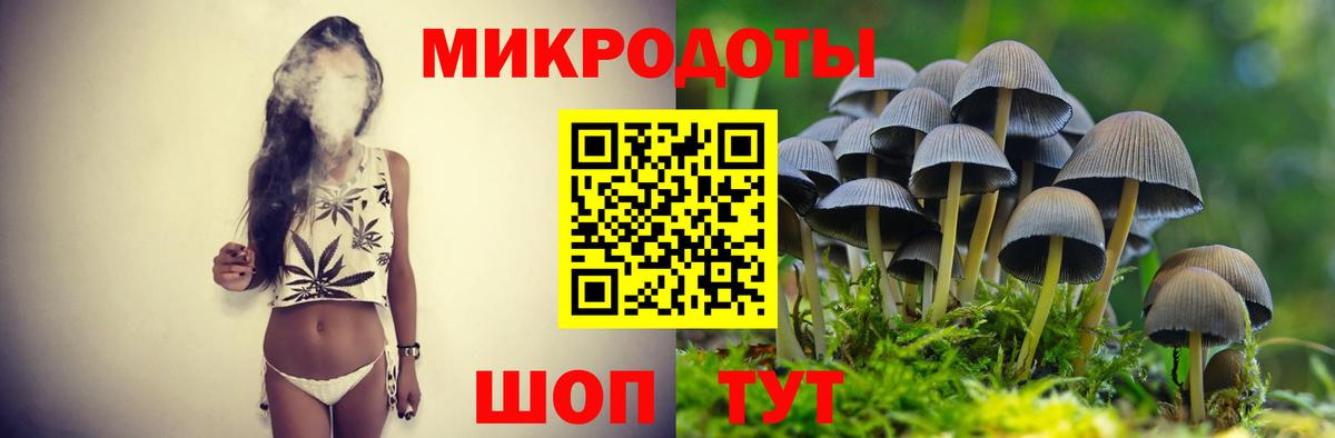 Псилоцибиновые грибы MAGIC MUSHROOMS  Вход с VPN  Псилоцибиновые грибы ЛСД  Губкинский 