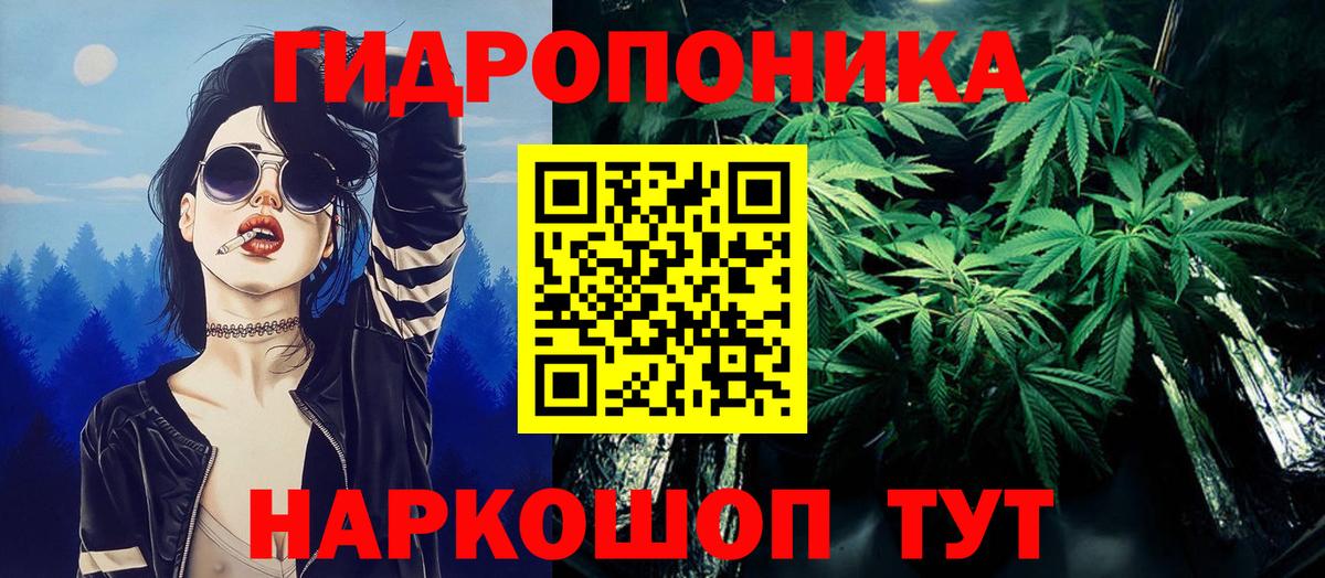 Бошки Шишки Amnesia Губкинский